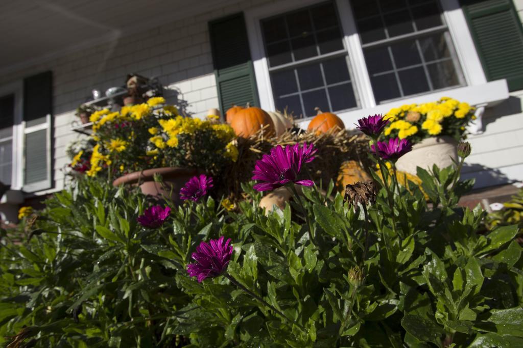 Golden Gables Inn North Conway Exterior foto